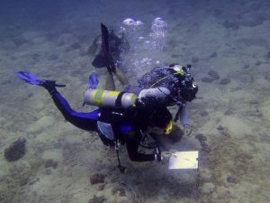 nitrox, padi, course