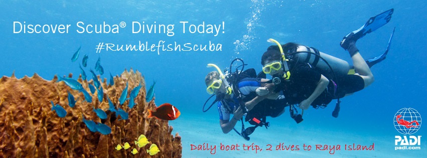 PADI Discover Scuba